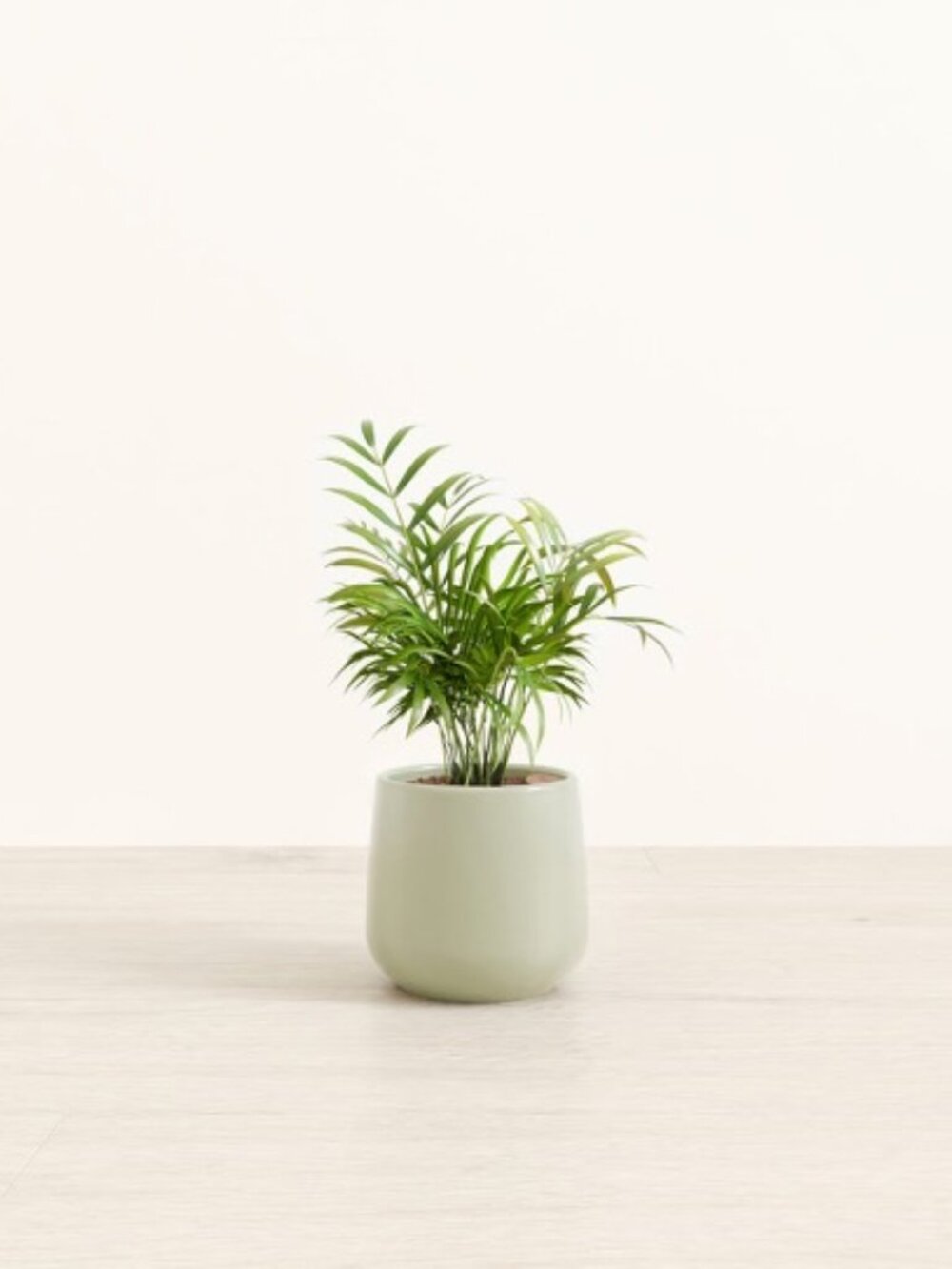 Easyplant Self-Watering Ceramic Planter Pot. Mint Green. Amber - Picture 7 of 7